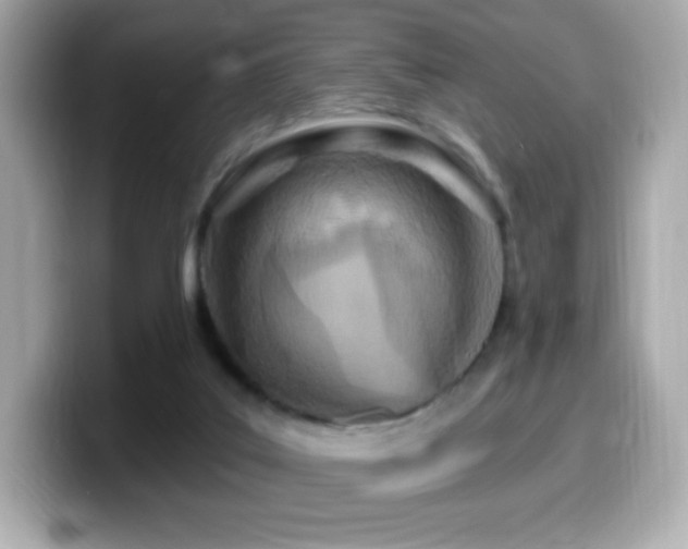 X0000099970019200805231414