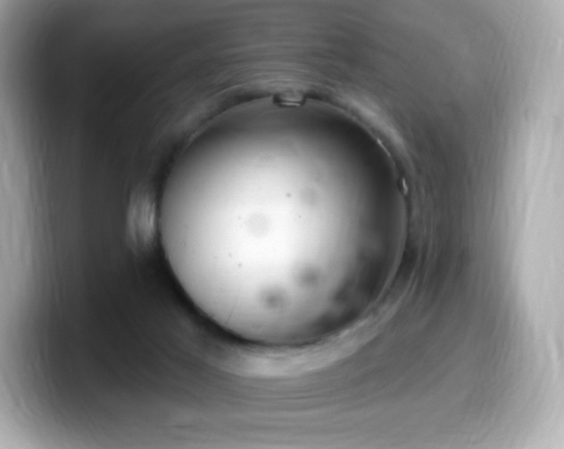 X0000099970021200805231414