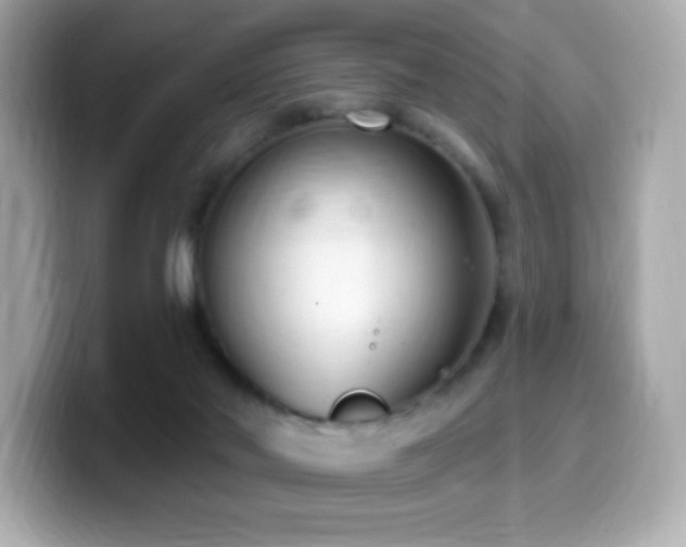 X0000099970022200805231414