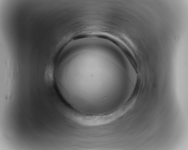 X0000099970023200805231414