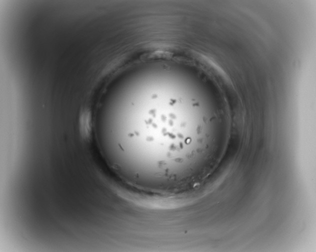 X0000099970024200805231414