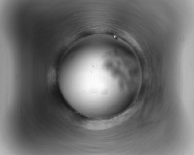 X0000099970025200805231414