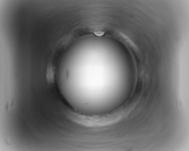 X0000099970026200805231414