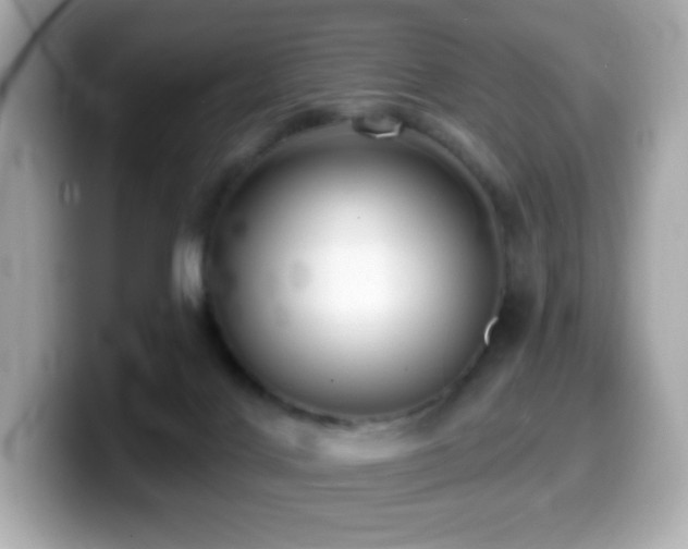 X0000099970028200805231414