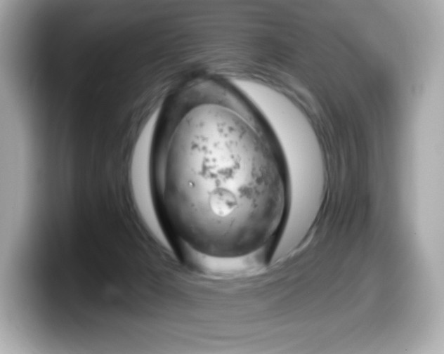 X0000099970029200805231414