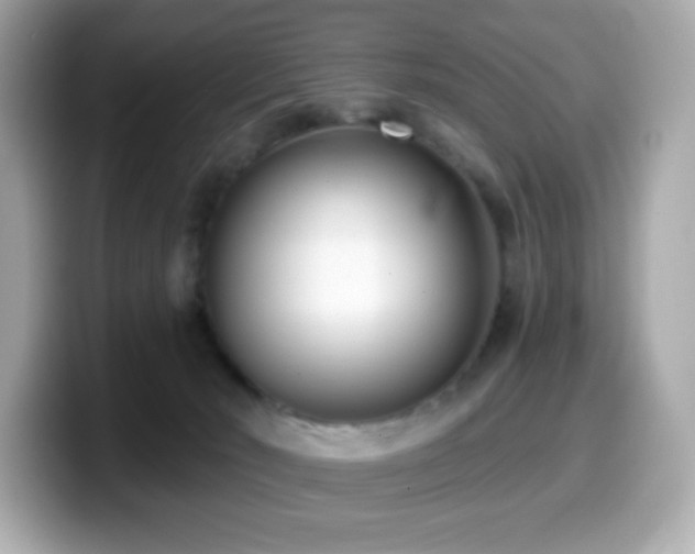 X0000099970030200805231414