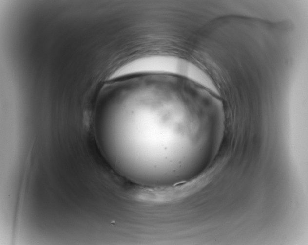 X0000099970033200805231414