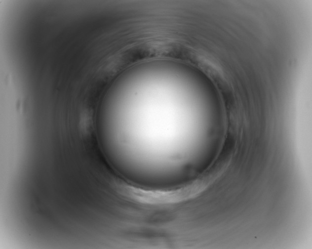 X0000099970034200805231414