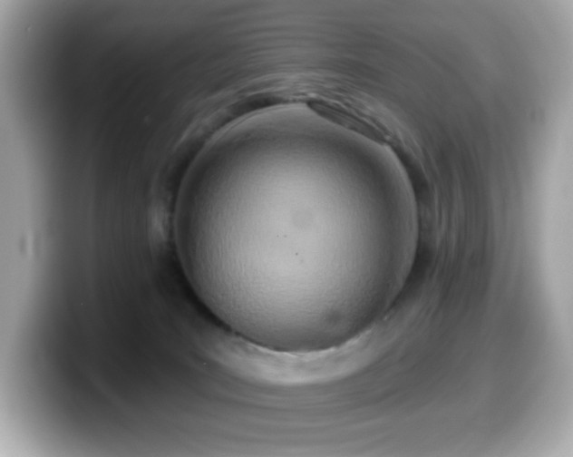 X0000099970035200805231414