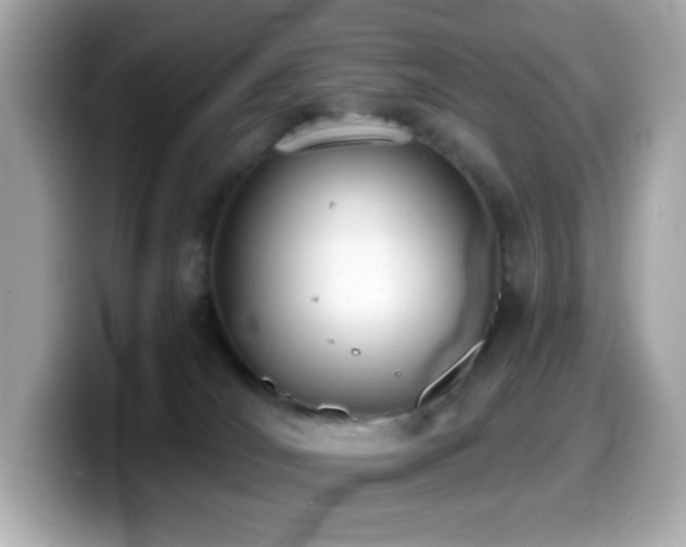 X0000099970036200805231414