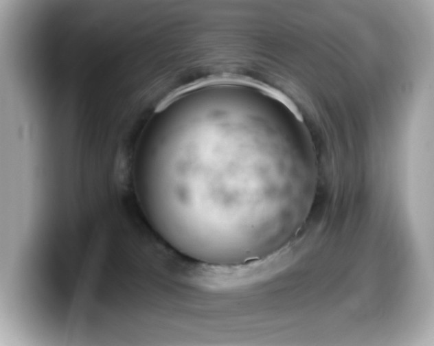 X0000099970037200805231414