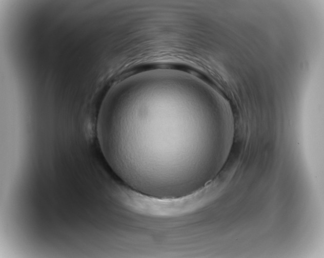 X0000099970039200805231414