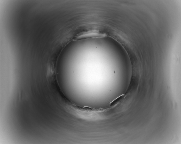 X0000099970040200805231414