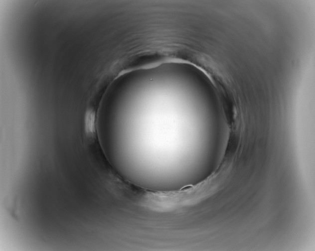 X0000099970041200805231413