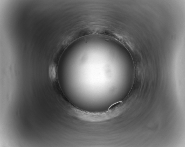 X0000099970042200805231413