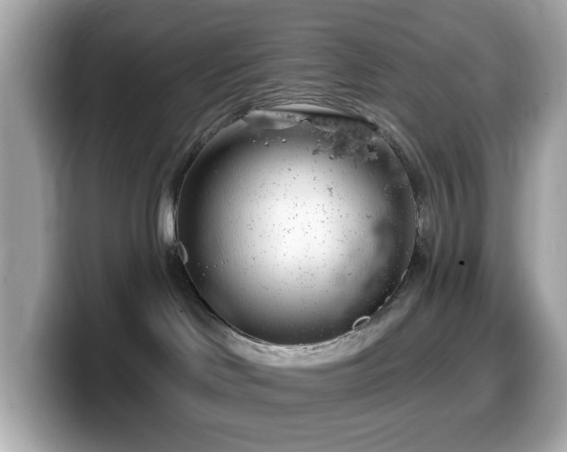 X0000099970046200805231413