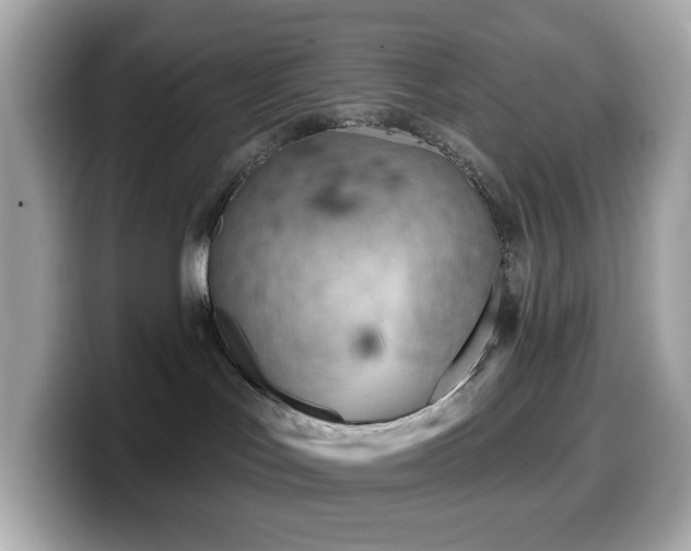 X0000099970047200805231413