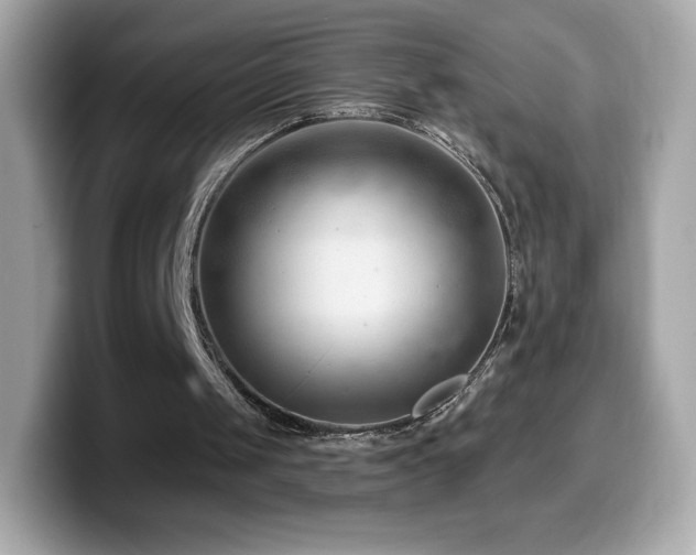 X0000099970049200805231413