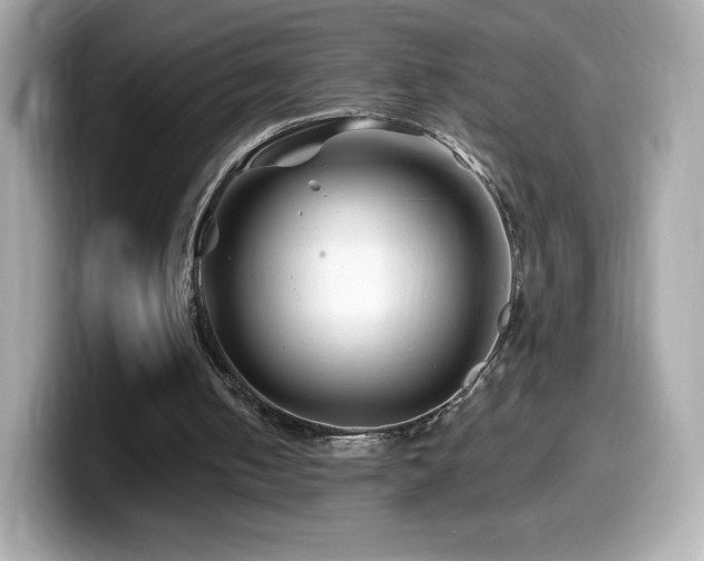 X0000099970050200805231413