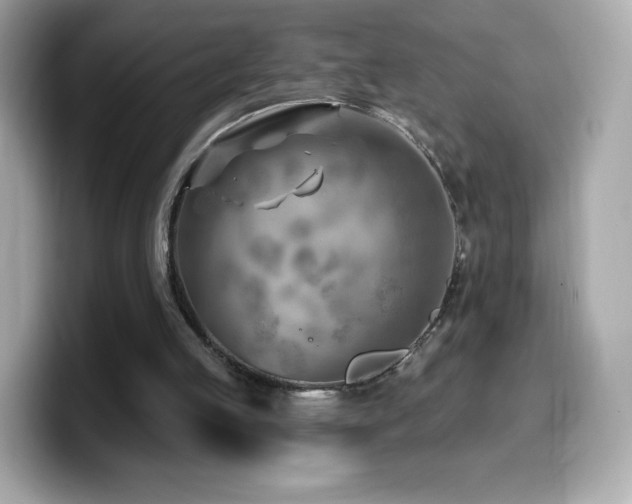 X0000099970053200805231413