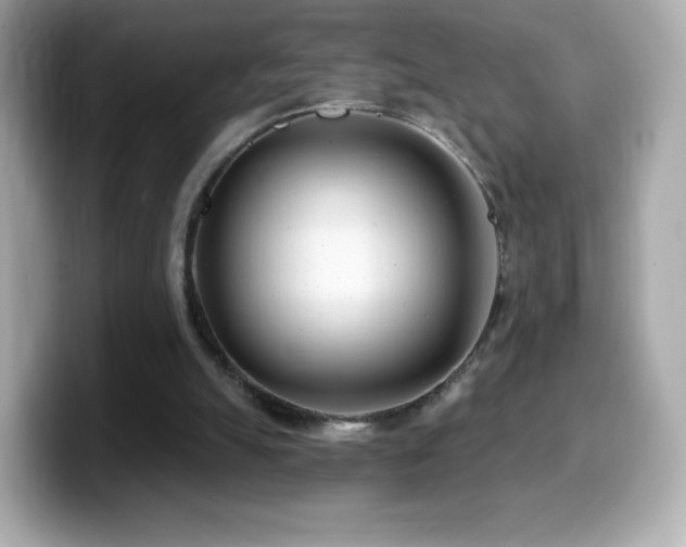 X0000099970055200805231413