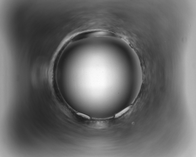 X0000099970056200805231413