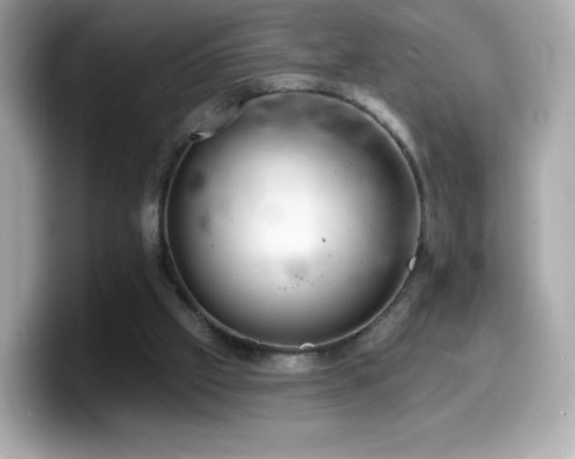 X0000099970057200805231413