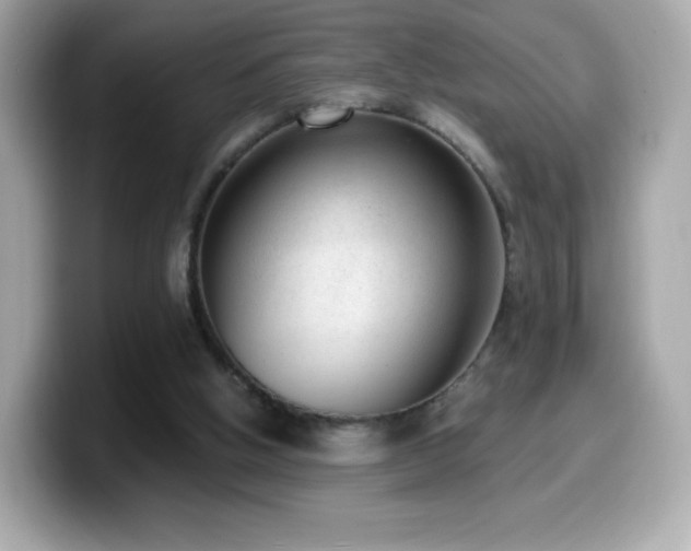 X0000099970058200805231413