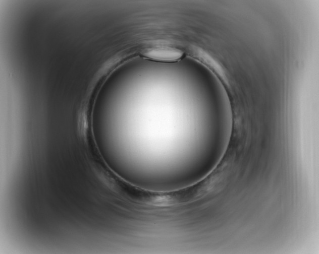 X0000099970059200805231413