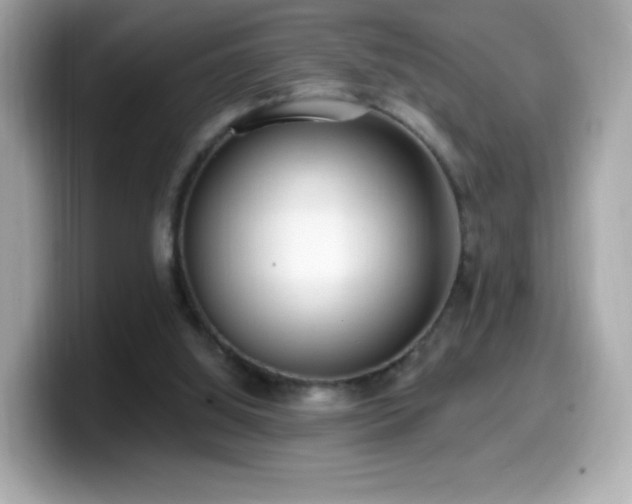 X0000099970060200805231413