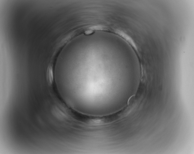 X0000099970061200805231413