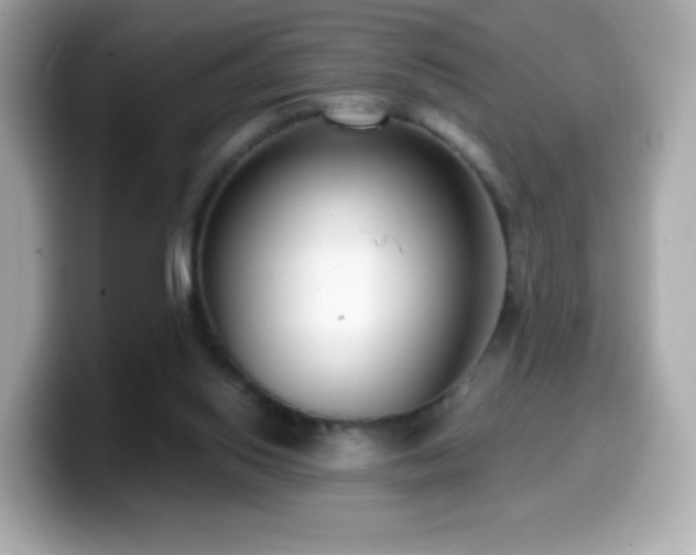 X0000099970062200805231413