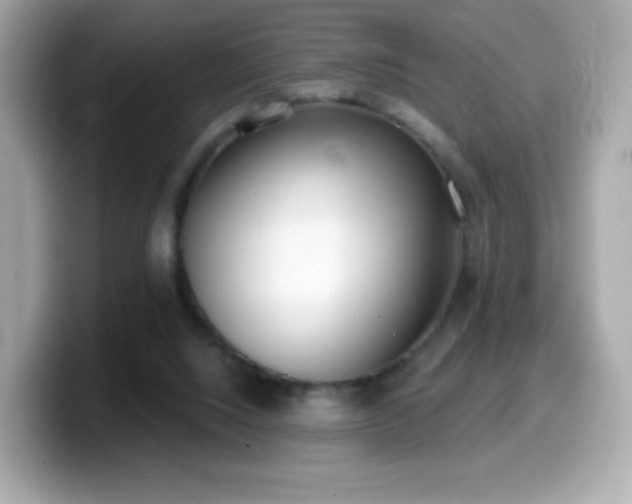 X0000099970064200805231413