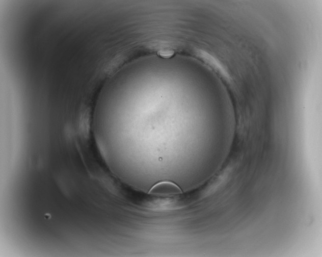 X0000099970065200805231413