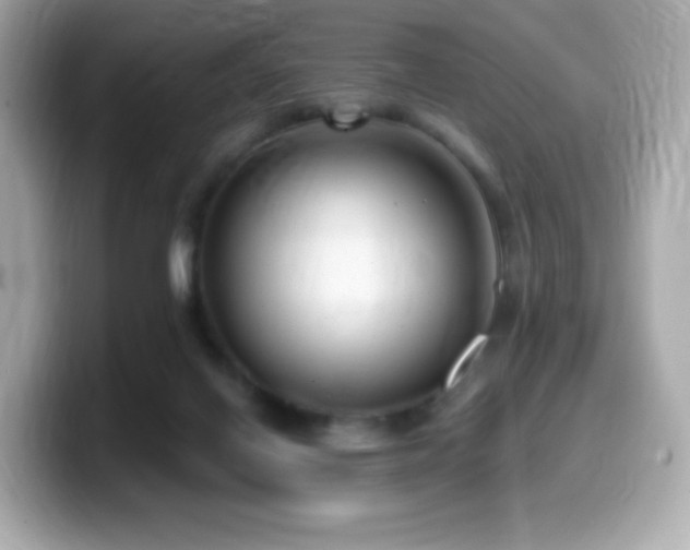 X0000099970070200805231413