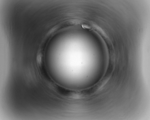 X0000099970071200805231413