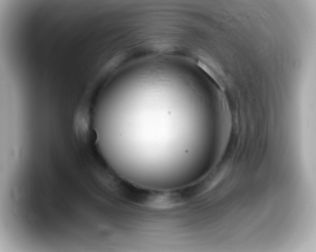 X0000099970072200805231413