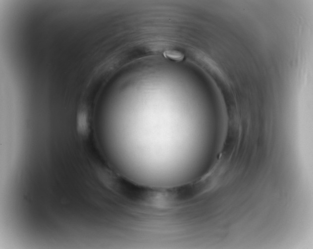 X0000099970074200805231413