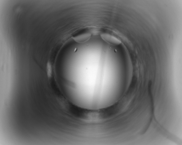 X0000099970075200805231413