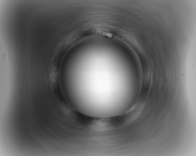 X0000099970078200805231413