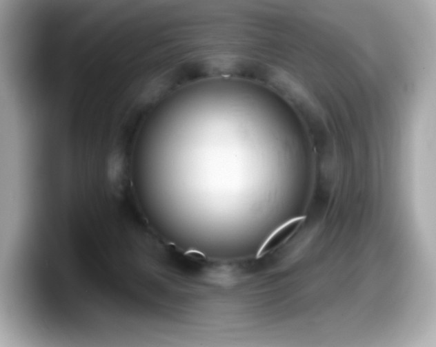 X0000099970079200805231413