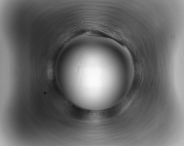 X0000099970080200805231413