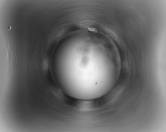 X0000099970081200805231413