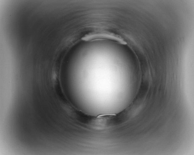 X0000099970084200805231413