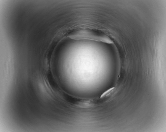 X0000099970086200805231413