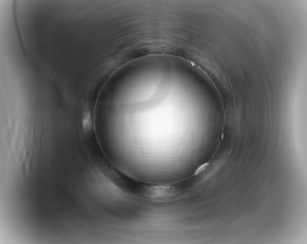 X0000099970089200805231413