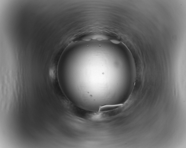 X0000099970090200805231413