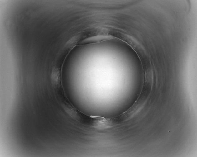 X0000099970092200805231413