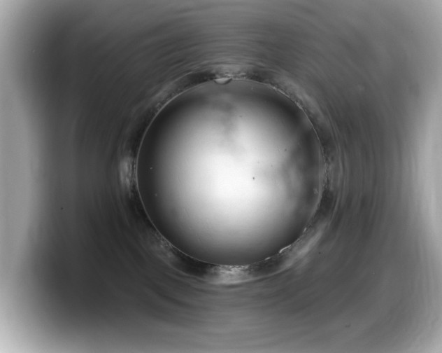 X0000099970093200805231413