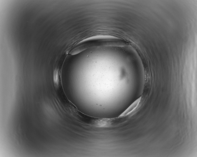 X0000099970094200805231413